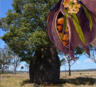 Bottle Tree